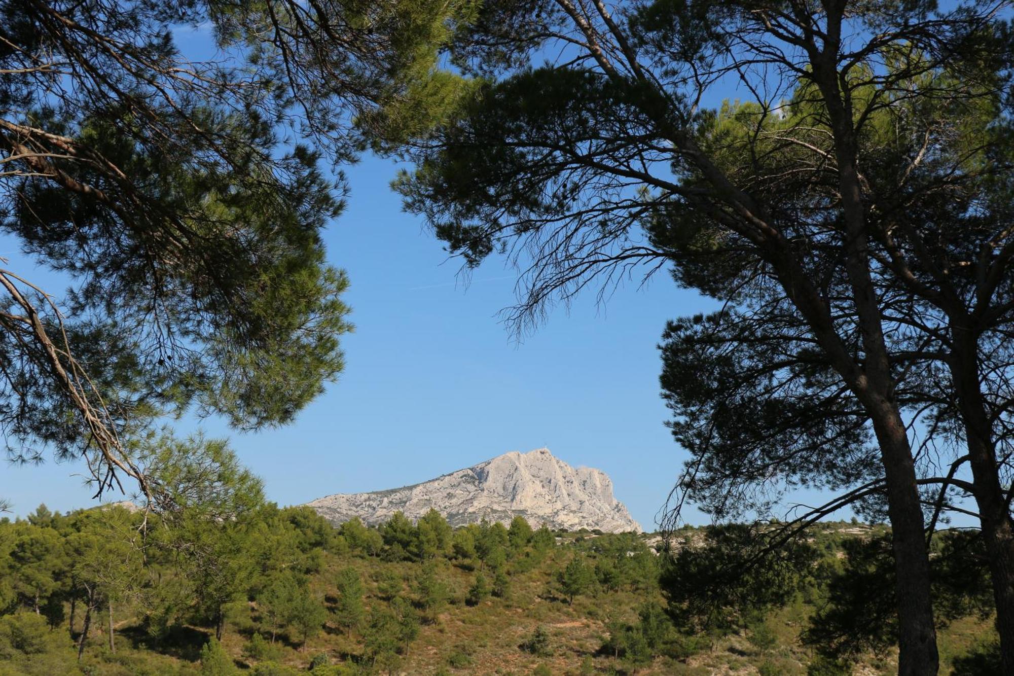 Studio Charmant Au Calme Aix-en-Provence Zewnętrze zdjęcie